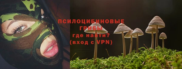 герыч Инсар