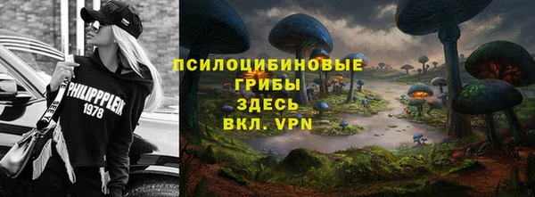 гидра Иннополис