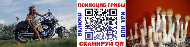 Галлюциногенные грибы мухоморы  Купить где  Балабаново 