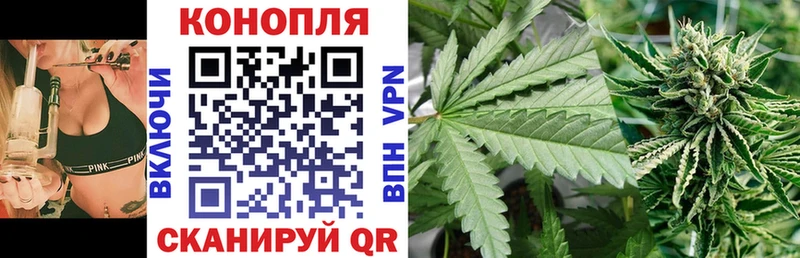 Шишки марихуана OG Kush  Купить закладки  Балабаново 